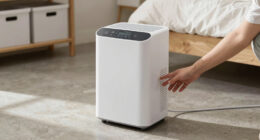 8 Best Dehumidifier for Bedrooms and Basements in 2026