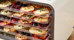 dehydrator capacity involves tray count