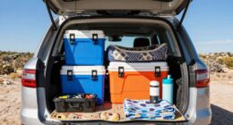 dog friendly car organizing