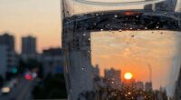 importance of article perspective