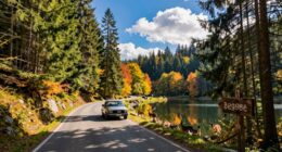 leisurely black forest drive