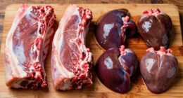 muscle versus organ nutrition