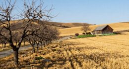 optimal timing for food tours