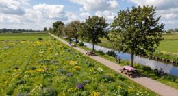 raw picnic route guide