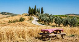 tuscany scenic picnic drive