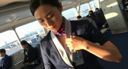 Radiation Link In Flight Attendant's Breast Cancer, French Court Finds